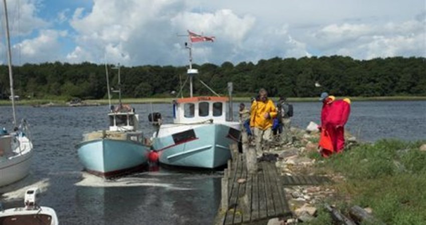 02 DSC_5774-01_460.jpg