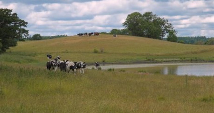 03 DSC_5803-01_460.jpg