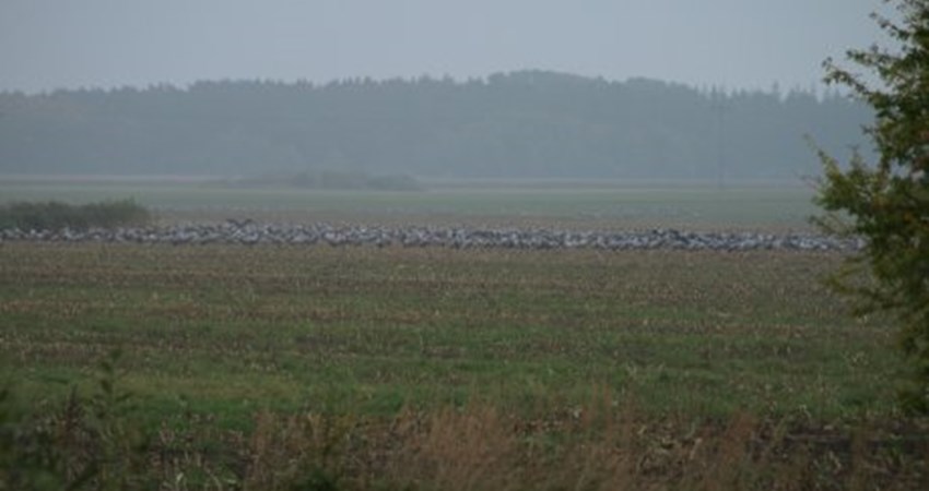 67 20081012_239_460.jpg