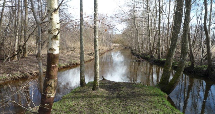 Sammenloebet af aaerne 1.jpg