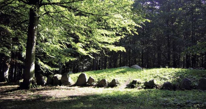 Langdysse i Kirkelte Hegn.JPG