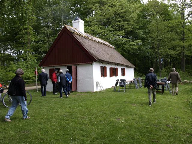 Todo